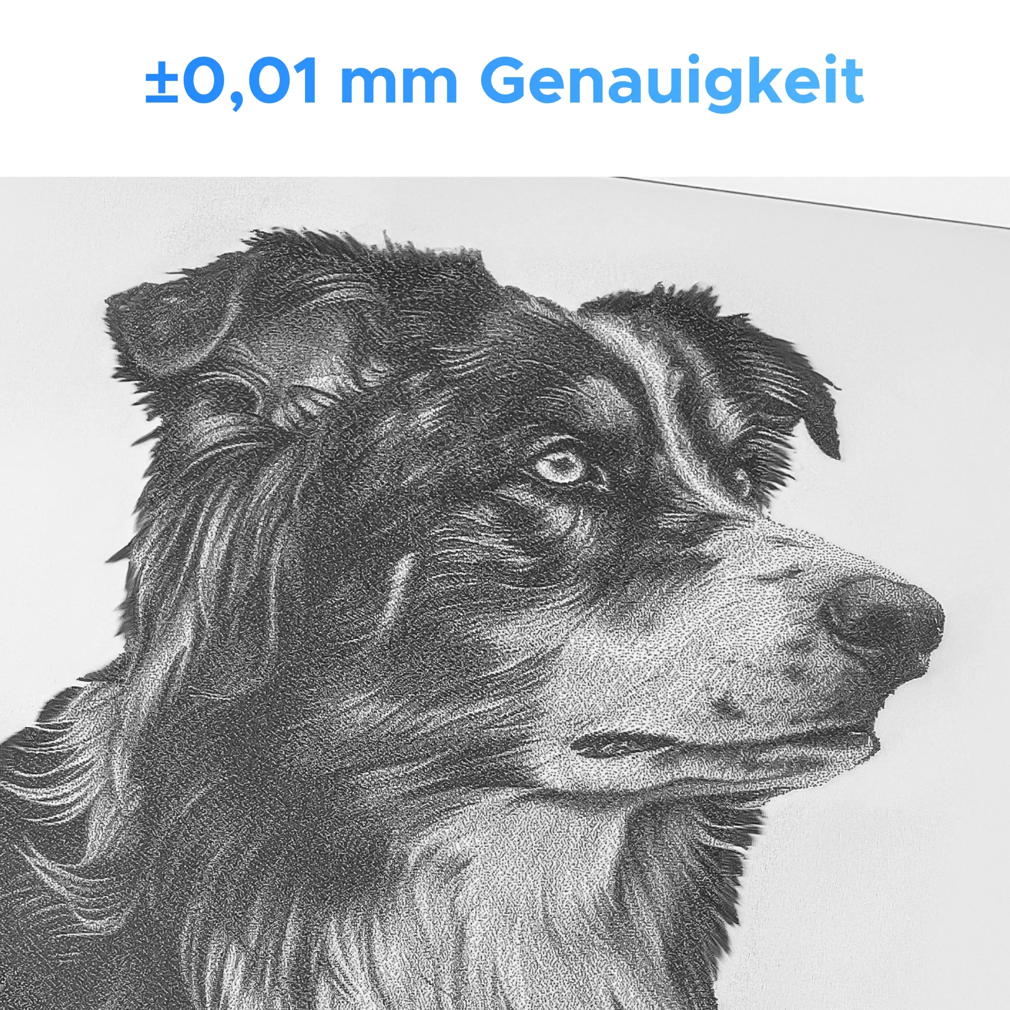 20W Faserlaser Graviermaschine mit Autofokus für Metallgravur | F20C - Image 10